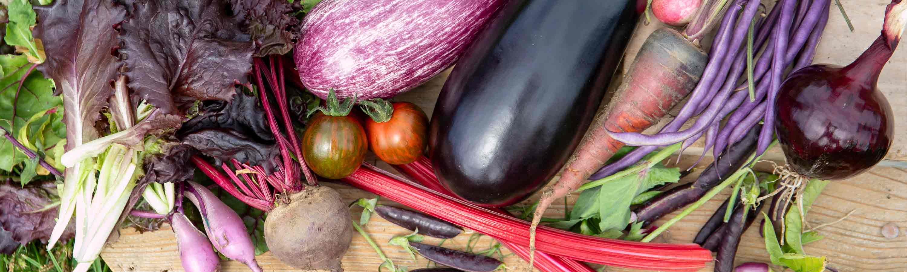 Vegetable Plants Buy Vegetable Plants Online Marshalls Garden Vegetable Plants Buy Vegetable Plants Online Marshalls Garden