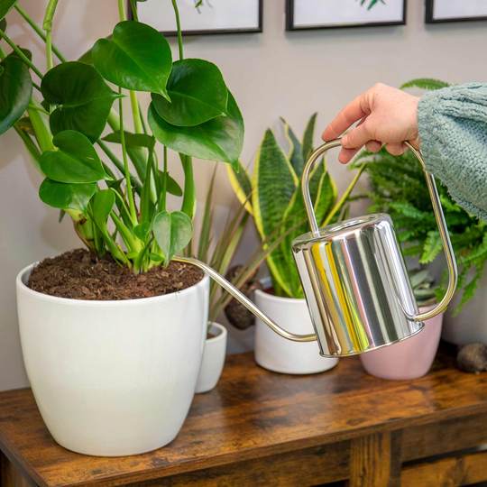 Buy Watering Cans Online | Watering Cans For Sale | Marshalls Garden