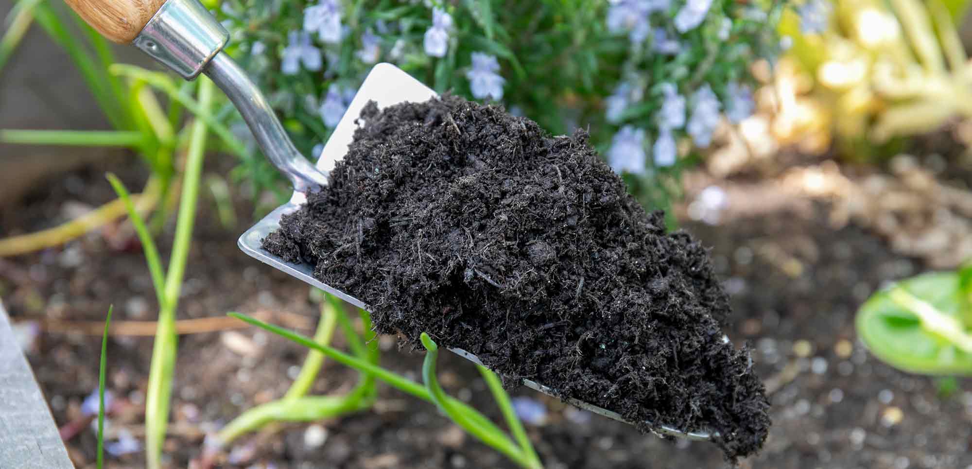 Soil Compost Near Me Guide to Finding Reliable Suppliers Soil Compost Near Me Guide to Finding Reliable Suppliers