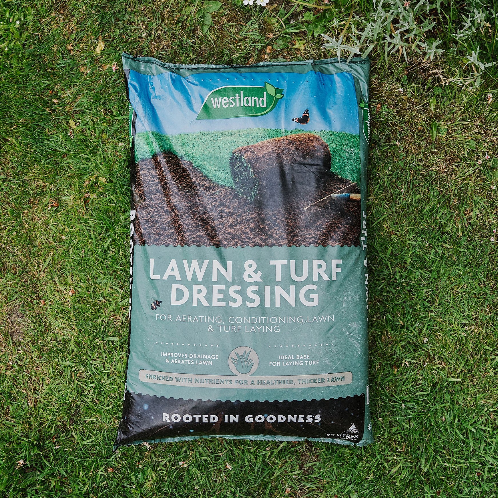 Westland Lawn and Turf Dressing