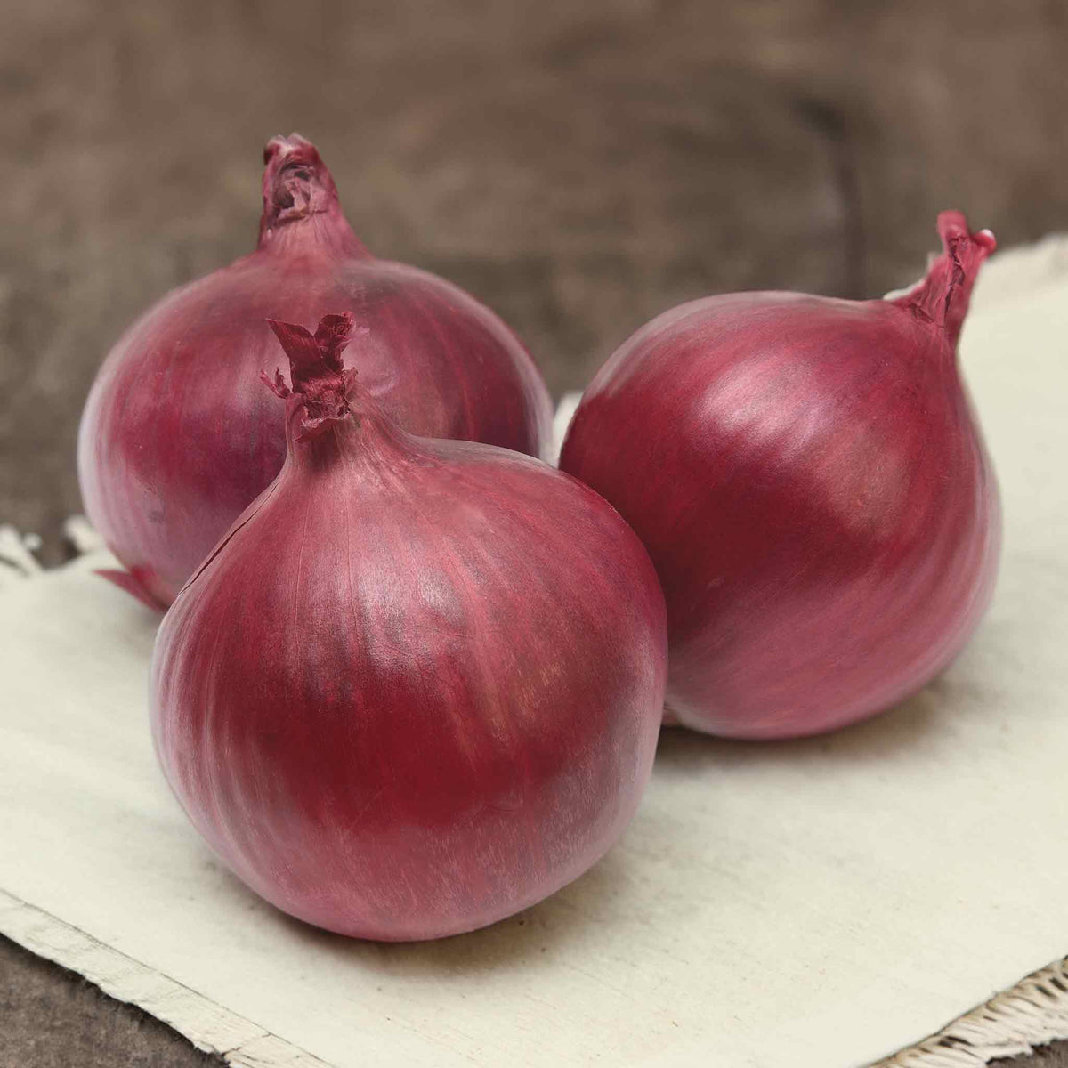 Onion 'Akado' Taster Pack Buy Autumn Onions Online Onion Sets for