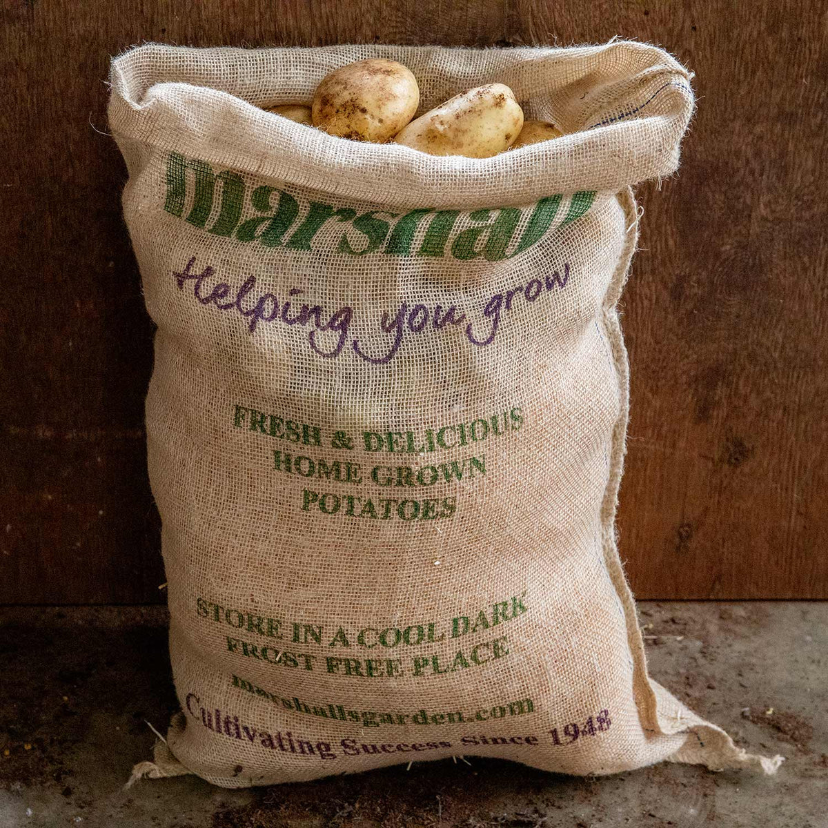 How To Grow Potatoes In A Hessian Bag 