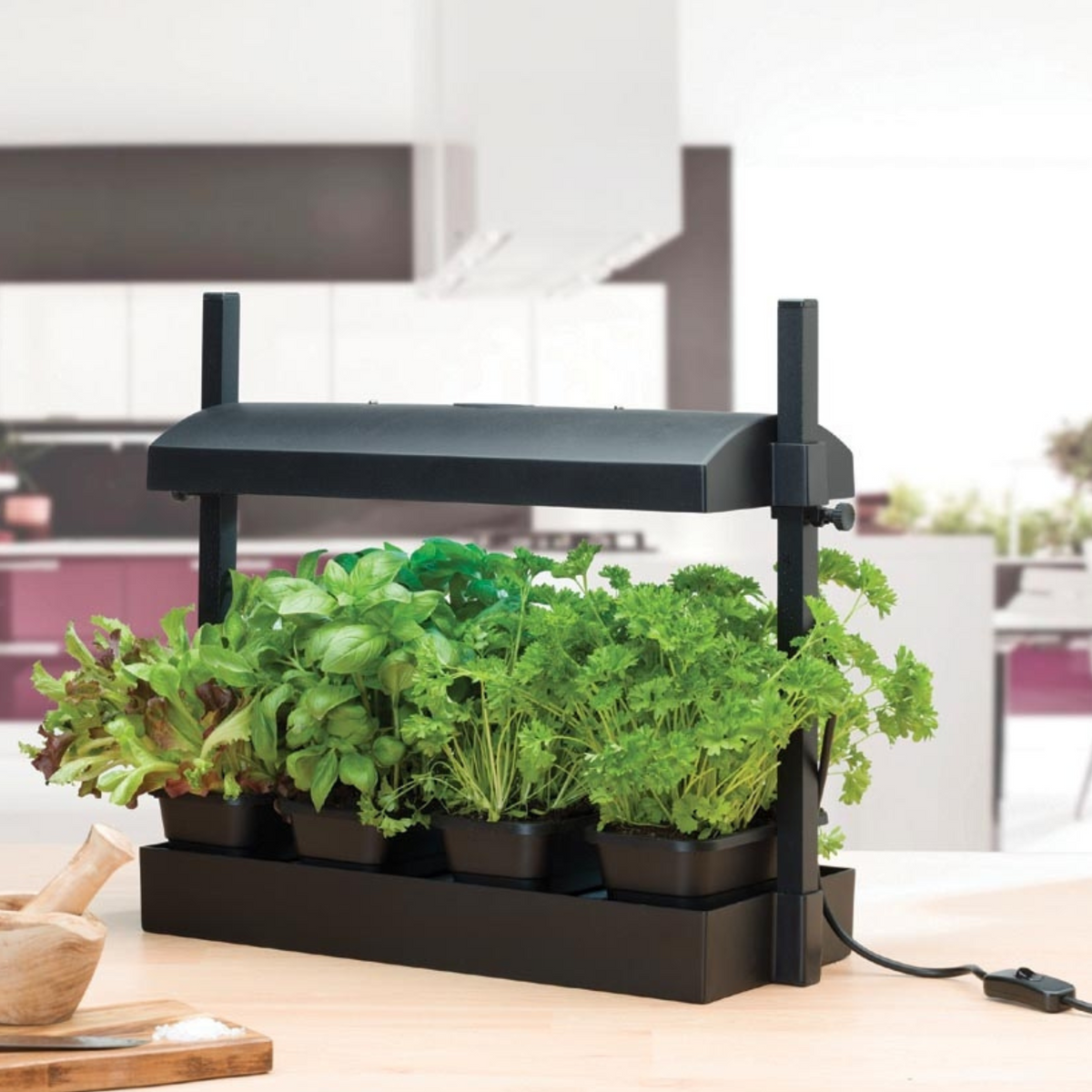 Grow light hot sale shop