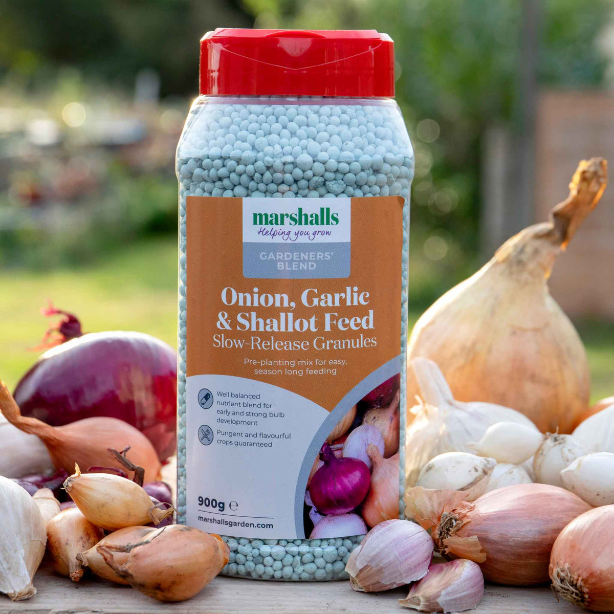 PrePlanting Onion, Garlic & Shallot Fertiliser Buy Onion, Garlic