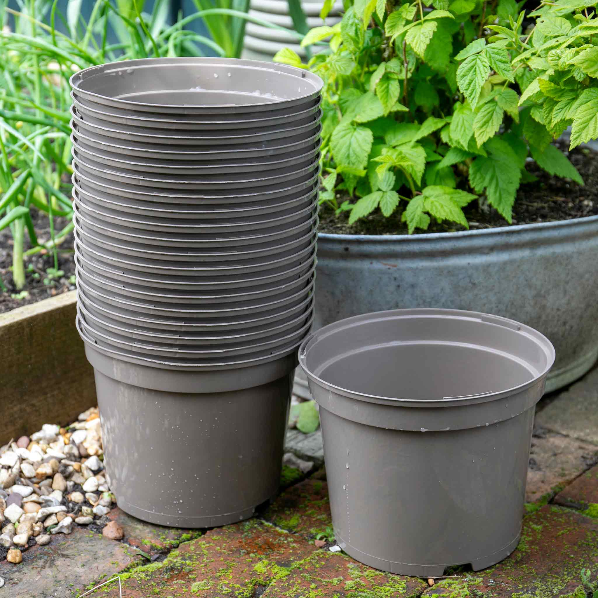 plastic planter pots uk Taupe-Grey Plastic Plant Pots - 10 x 5 Litre