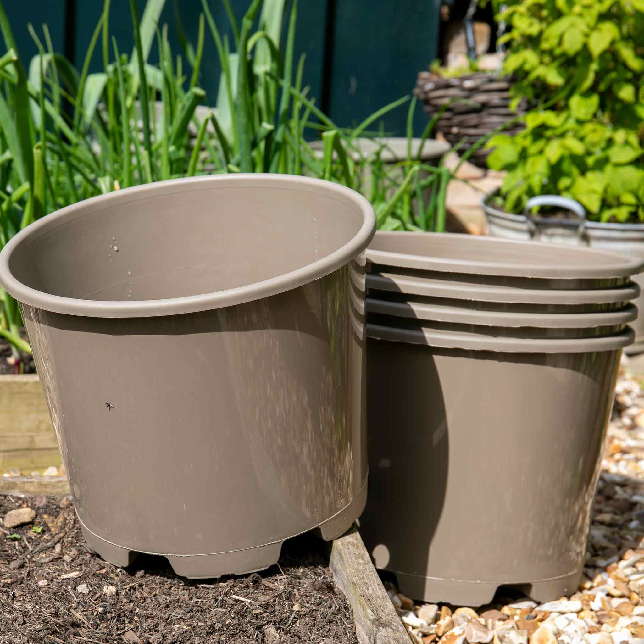 giant plastic plant pots Taupe-Grey Plastic Plant Pots - 5 x 15 Litre