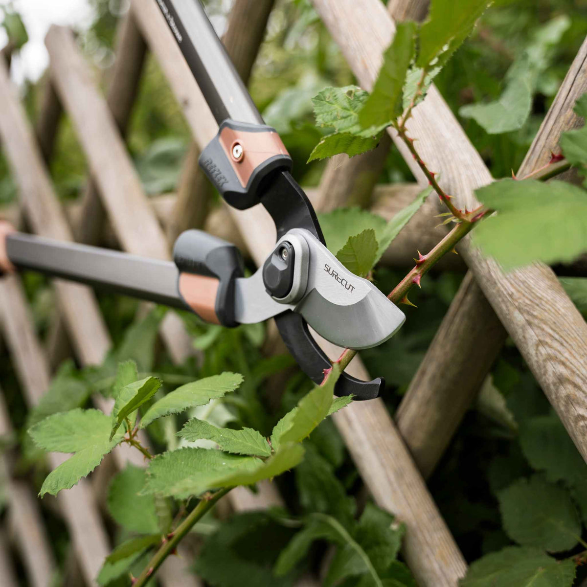 SureCut All Purpose Bypass Loppers Buy Bypass Loppers Online Bypass