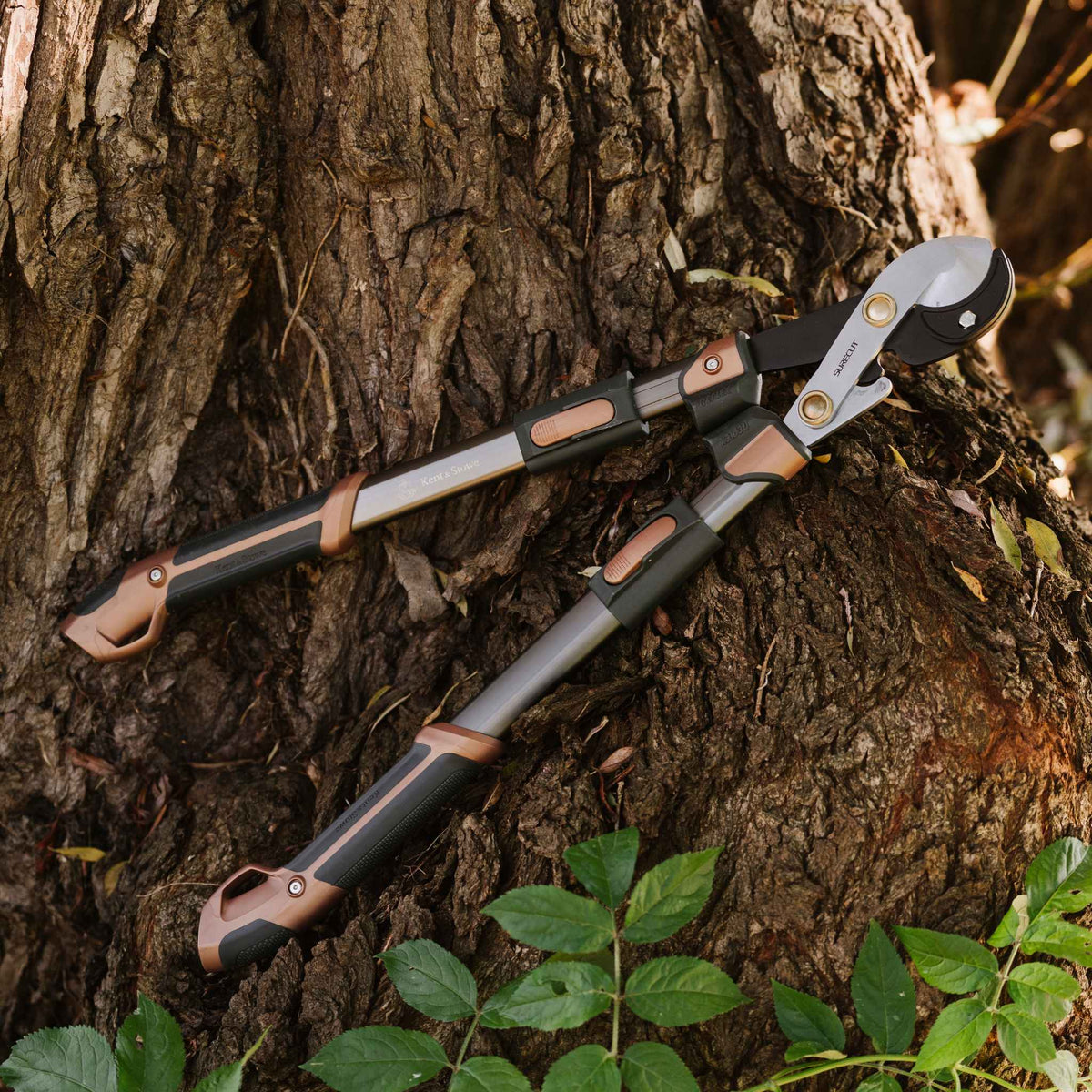 SureCut Hard Wood Extra Power Geared Anvil Loppers Buy Anvil Loppers Online Anvil Loppers