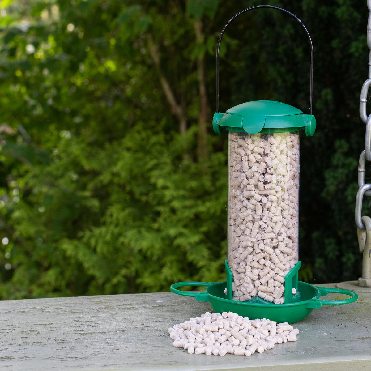 Gardman Flip Top Mealworm Feeder Buy Bird Feeder Online Bird
