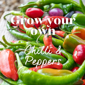 Chillis & Peppers