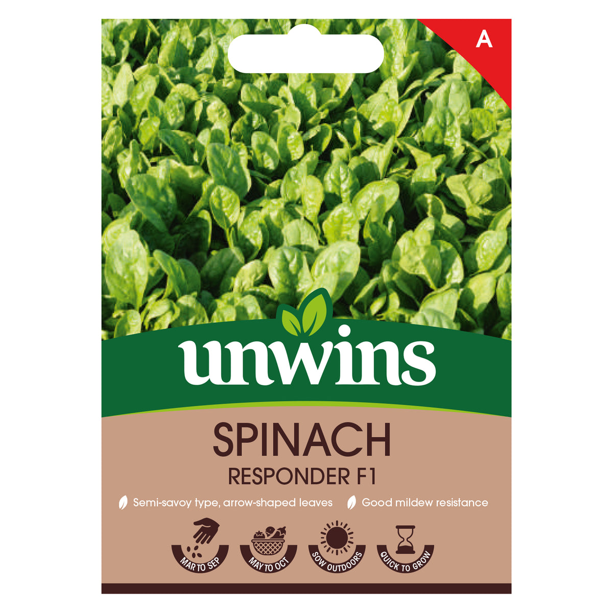 Spinach Seeds 'Responder' F1 Buy Spinach Seeds Online Spinach Seeds for Sale Marshalls Garden