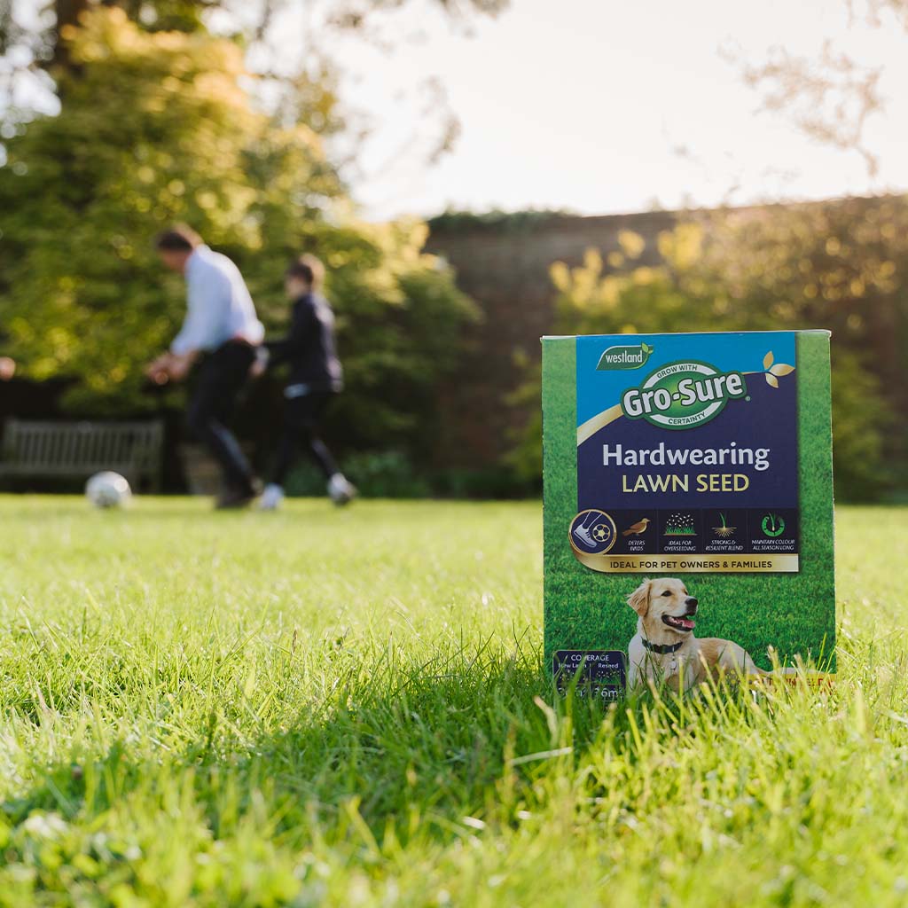 GroSure Hardwearing Lawn Seed 30sqm Buy Lawn Seed Online Lawn Seed