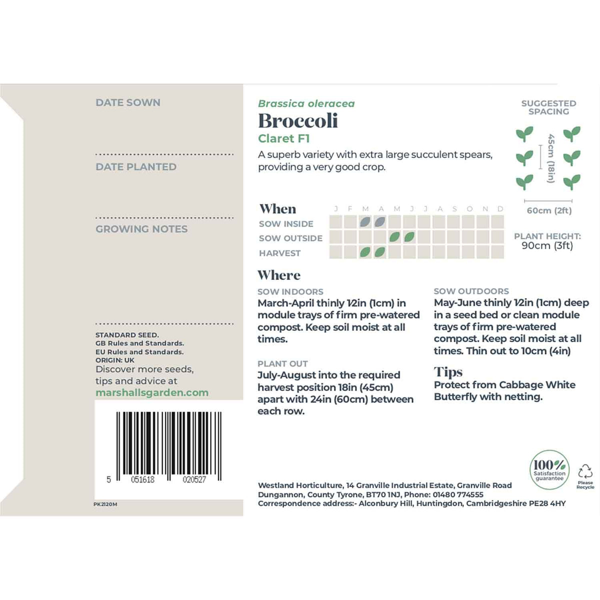 Broccoli Seeds 'Claret F1' Buy Broccoli Seeds Online Broccoli Seeds