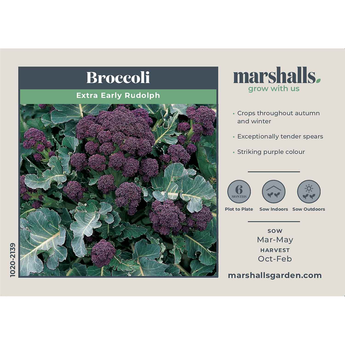 Broccoli Seeds 'Extra Early Rudolph' Buy Broccoli Seeds Online
