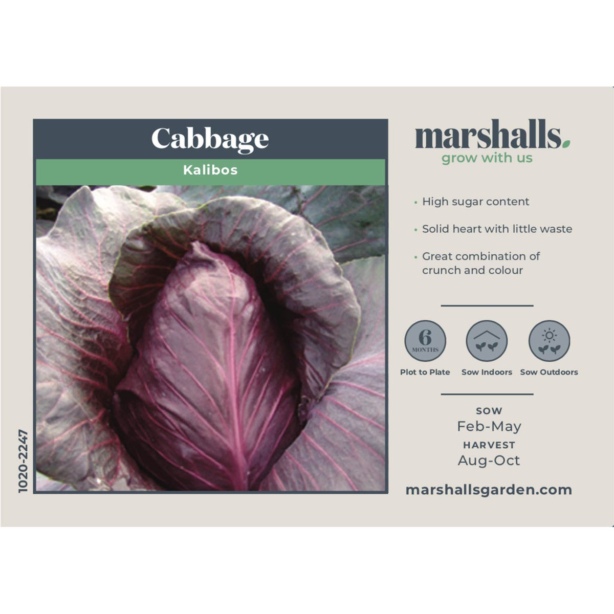 Buy Kalibos Cabbage Seeds Delicious Red Cabbage Seeds for Sale online