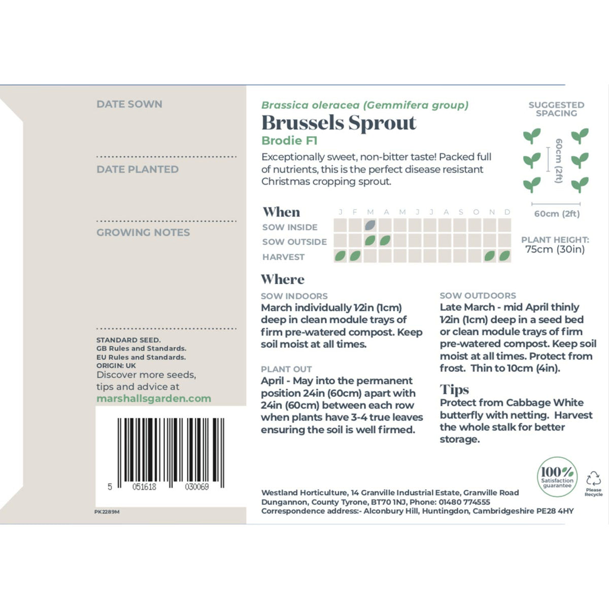 Brussels Sprout Seeds Buy Brussels Sprout Seeds Online