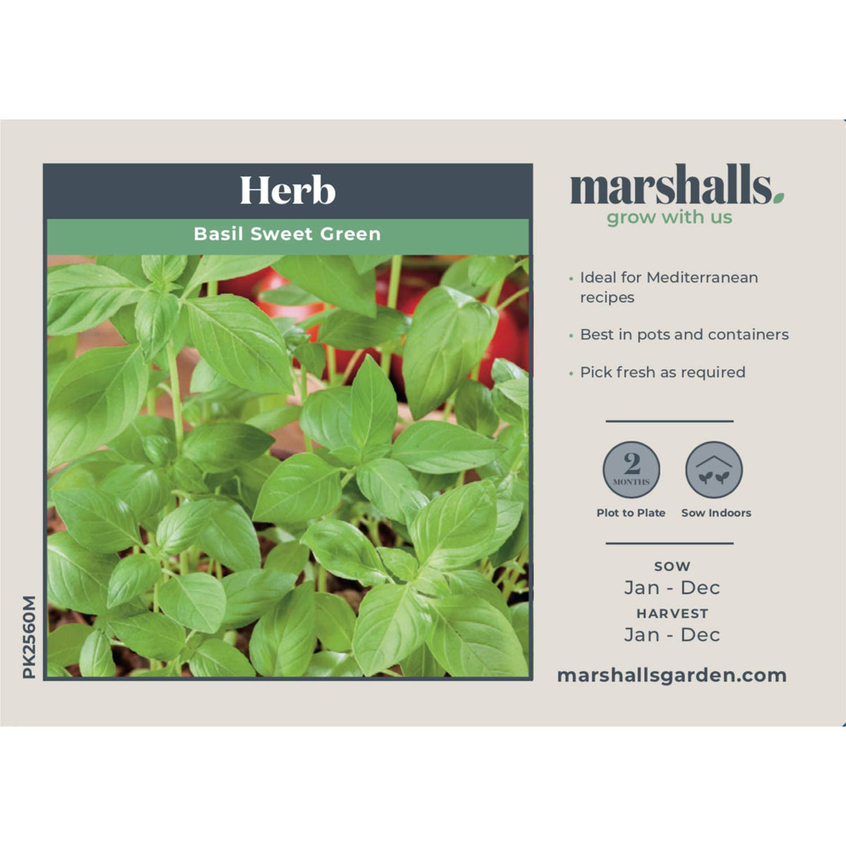 Basil Seeds 'Sweet Green' Buy Basil Seeds Online Basil Seeds for Sale Marshalls Garden