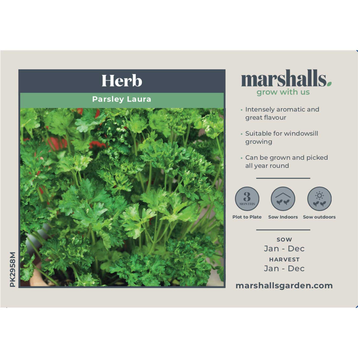 Parsley 'Laura' Seeds Buy Parsley Seeds Online Parsley Seeds for