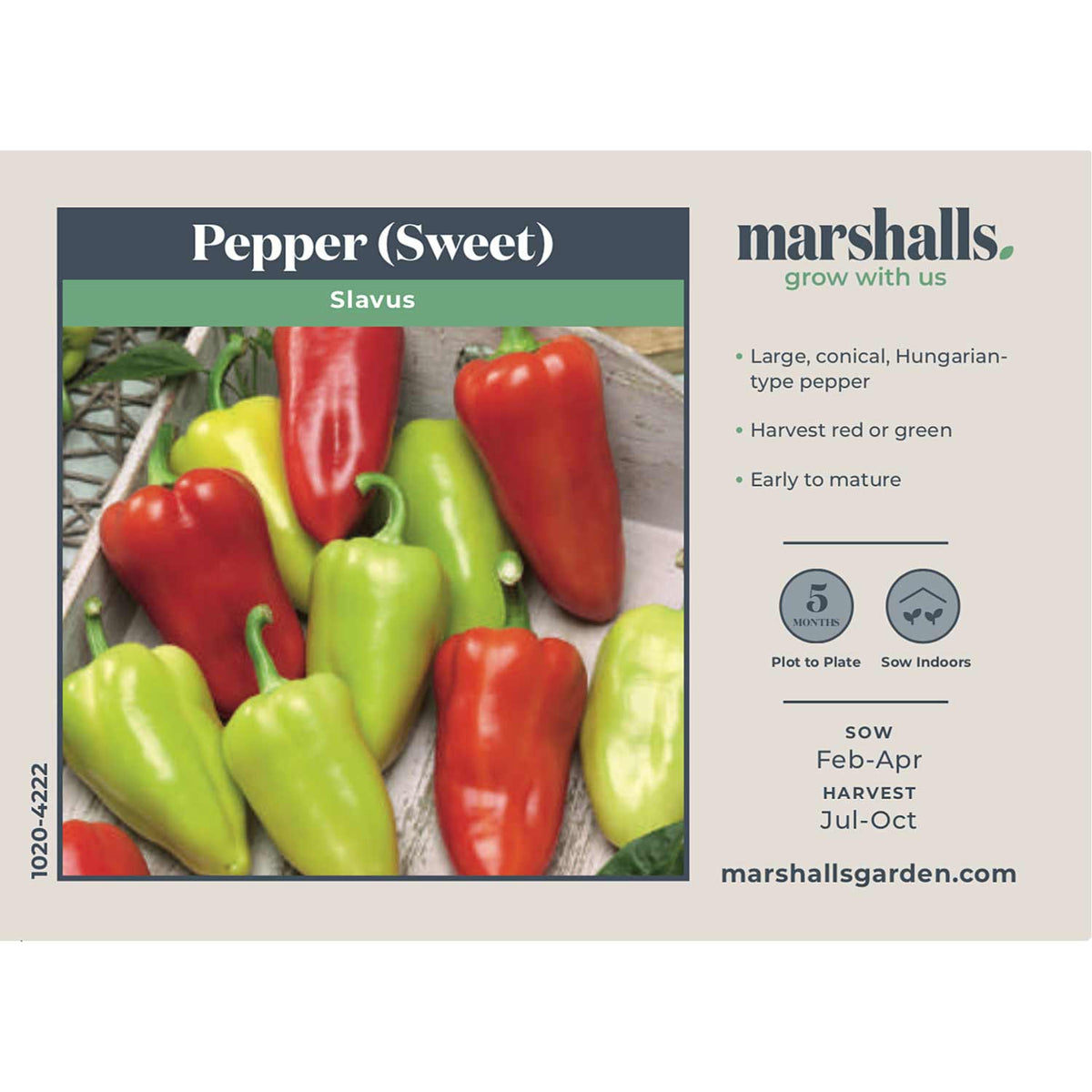 Sweet Pepper Seeds 'Slavus' Buy Sweet Pepper Seeds Online Sweet Pepper Seeds for Sale