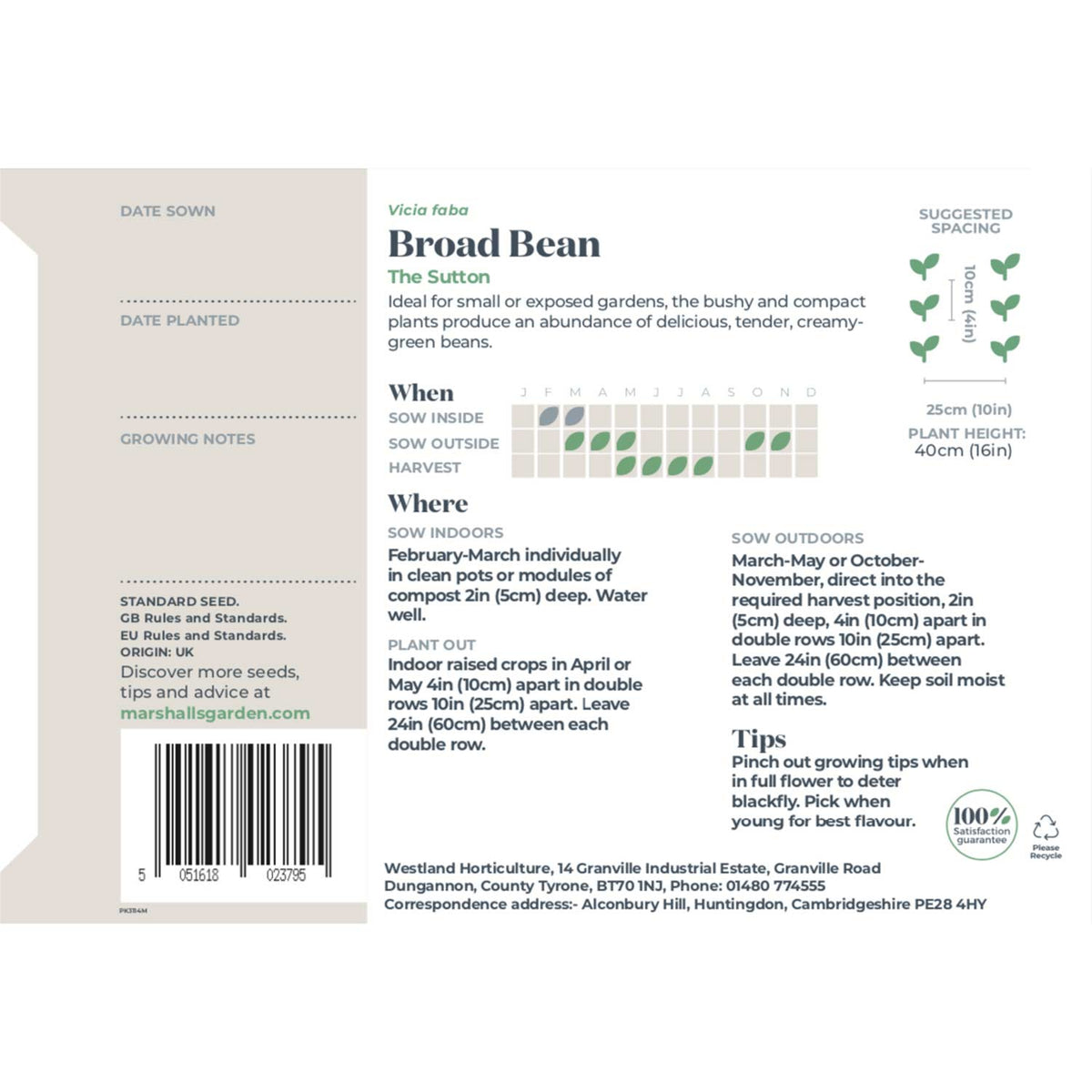 Broad Bean Seeds 'The Sutton' Buy Broad Bean Seeds Online Broad Bean Seeds for Sale