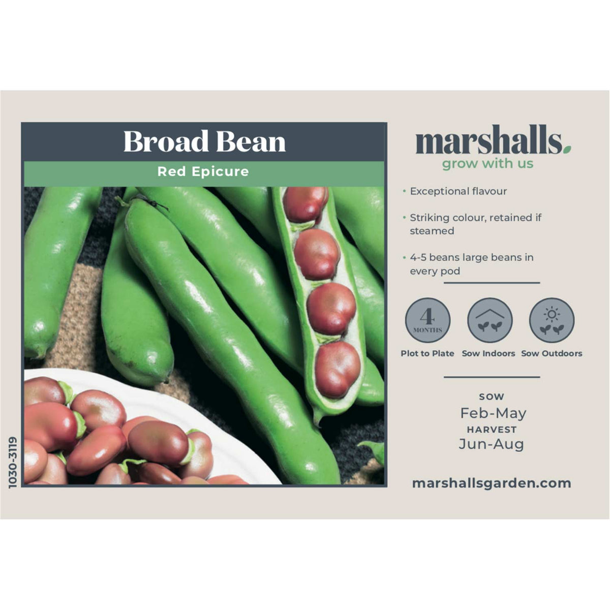 Broad Bean Seeds 'Red Epicure' Buy Broad Bean Seeds Online Broad Bean Seeds for Sale