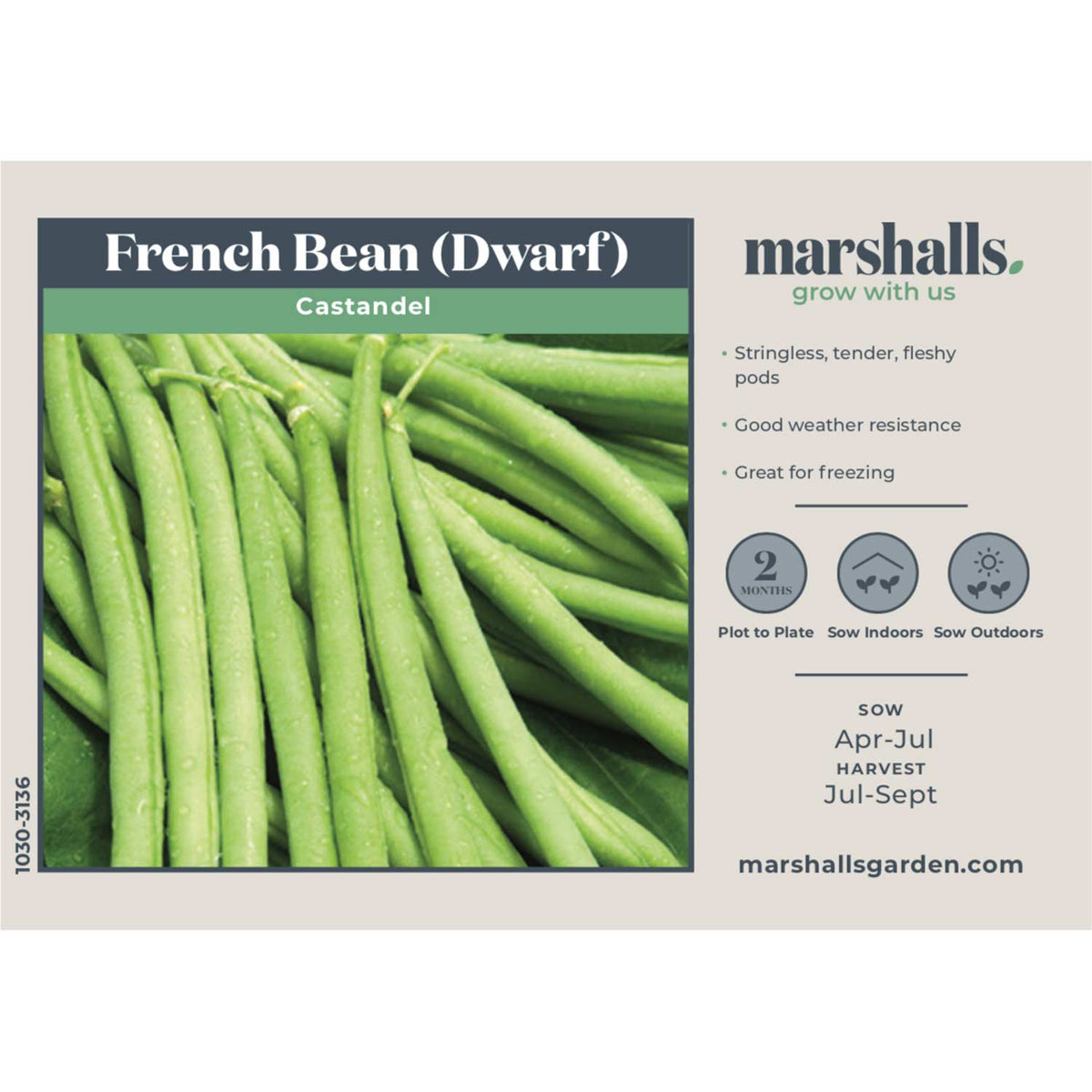 Dwarf French Bean Seeds 'Castandel' Buy Dwarf French Bean Seeds