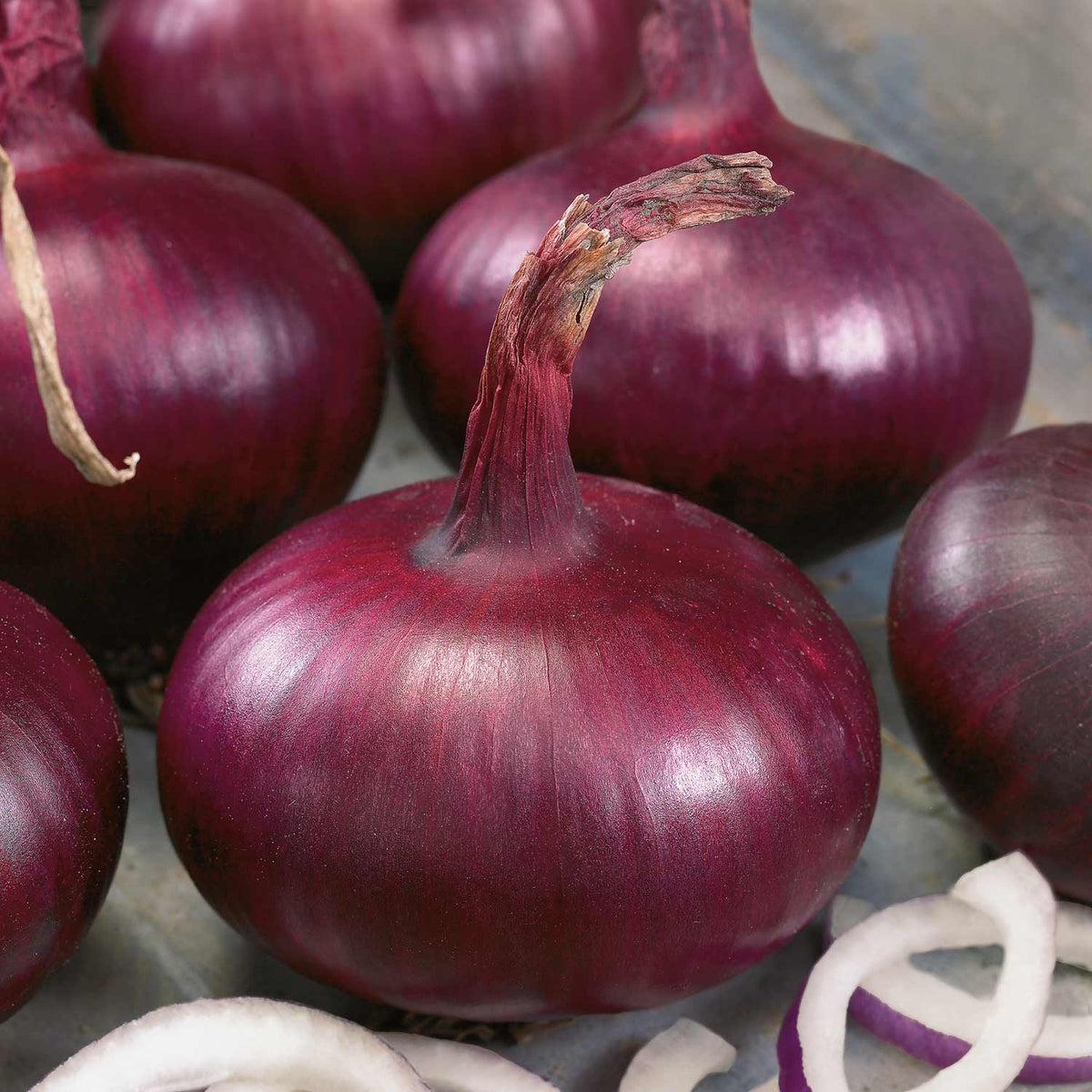 Buy Onion Sets Collection Heat Prepared online Marshalls