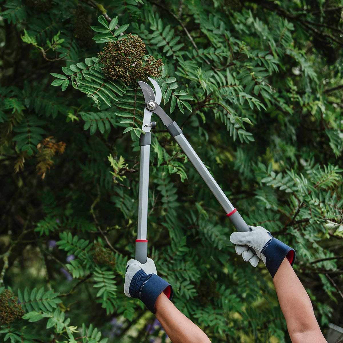 Kent & Stowe Bypass Loppers Buy Bypass Loppers Online Bypass