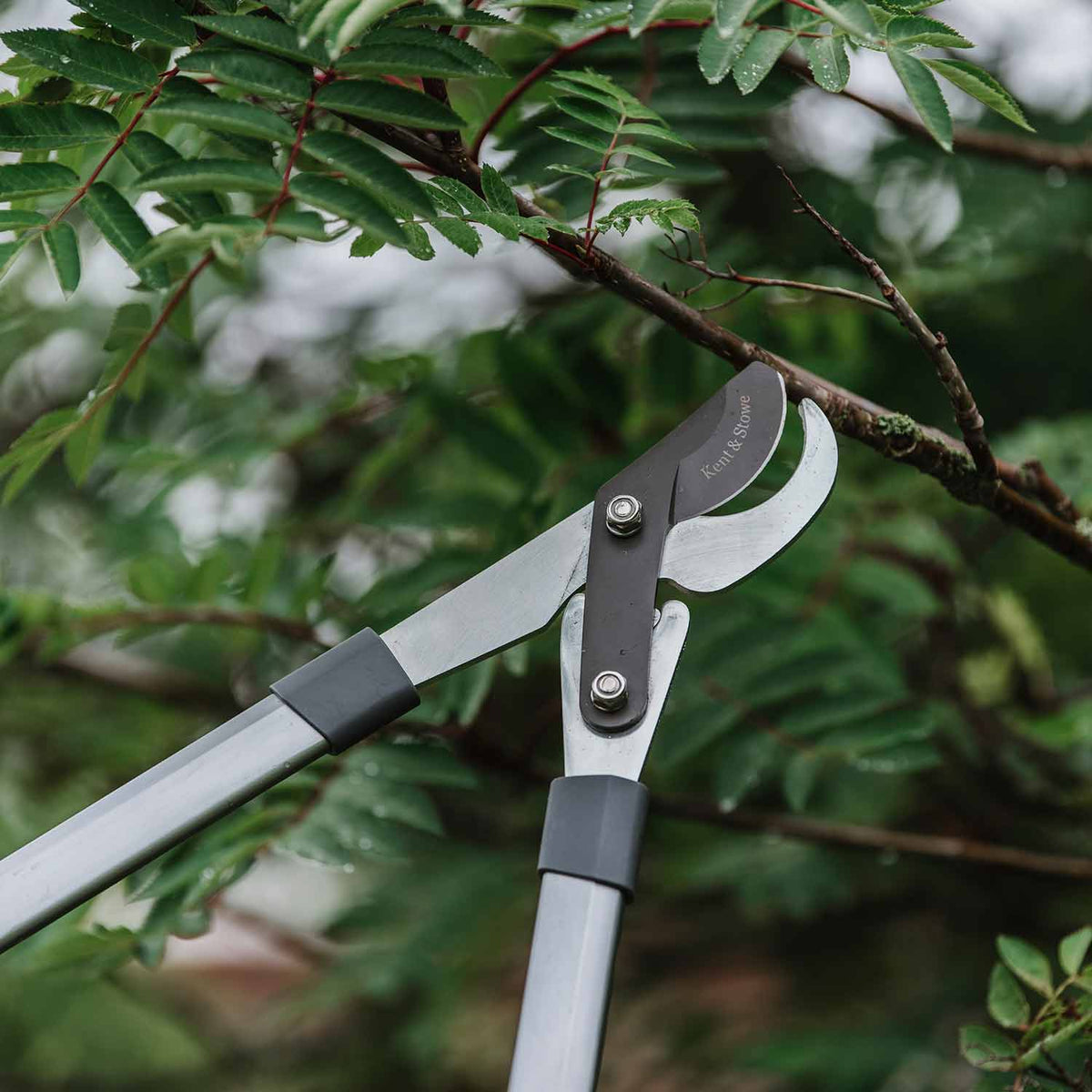 Kent & Stowe Geared Bypass Loppers Buy Garden Loppers Online