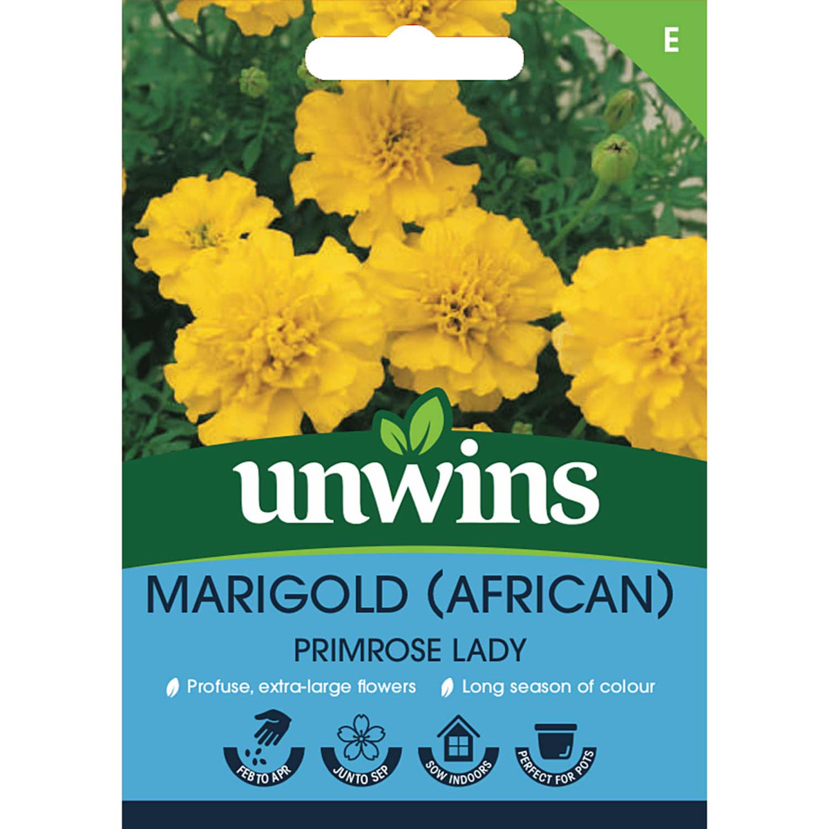 African Marigold Seeds 'Primrose Lady' Buy Marigold Seeds Online
