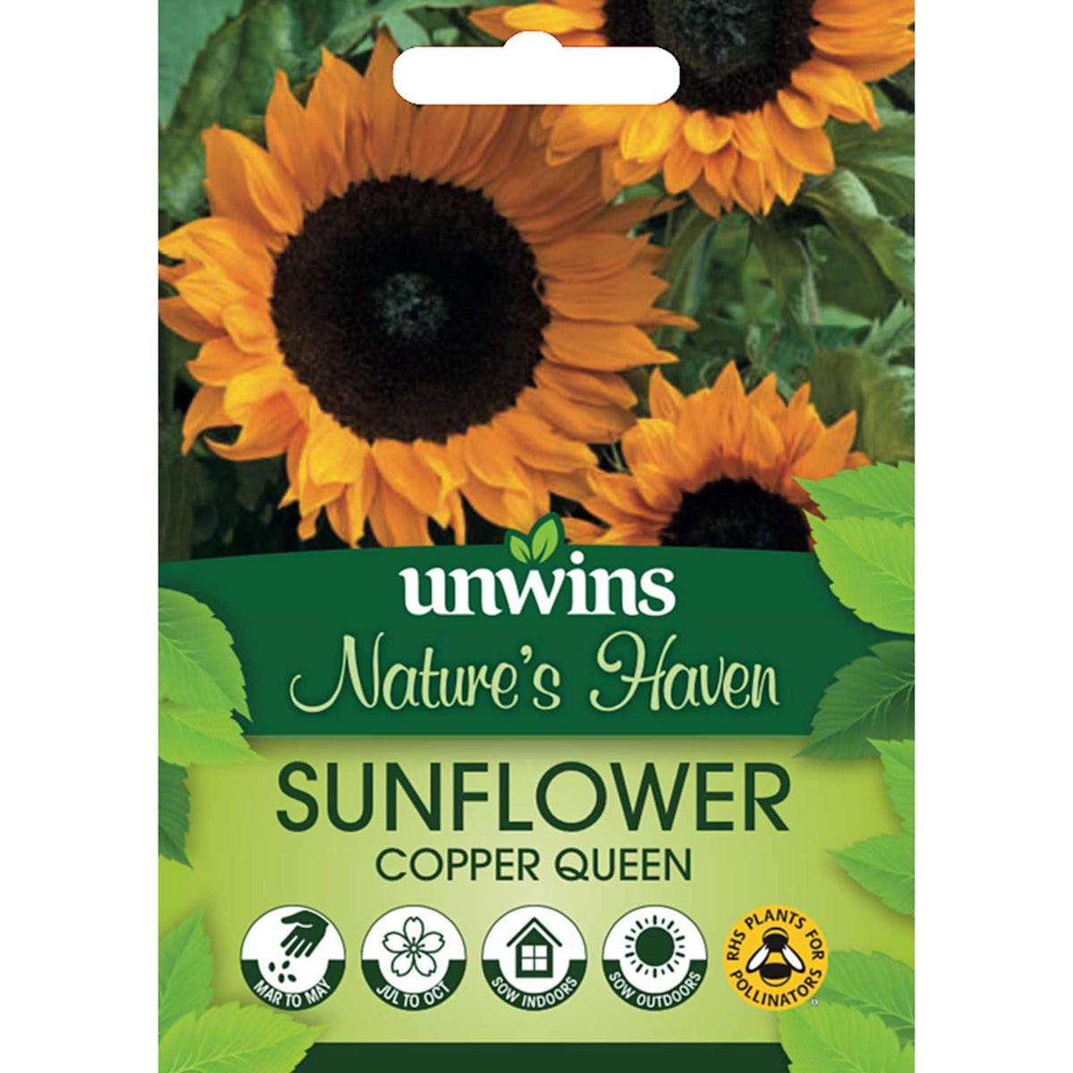 Sunflower Seeds 'Copper Queen' Buy Sunflower Seeds Online Sunflower
