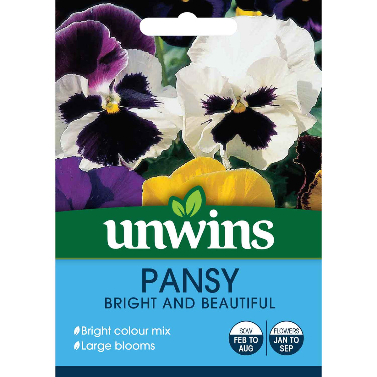 Pansy Seeds 'Bright and Beautiful' Buy Pansy Seeds Online Pansy