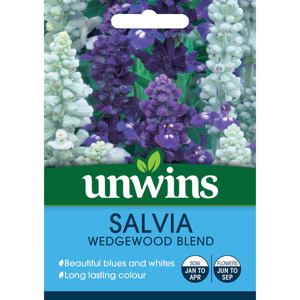 Salvia Seeds 'Wedgewood Blend' | Buy Salvia Seeds Online | Salvia 