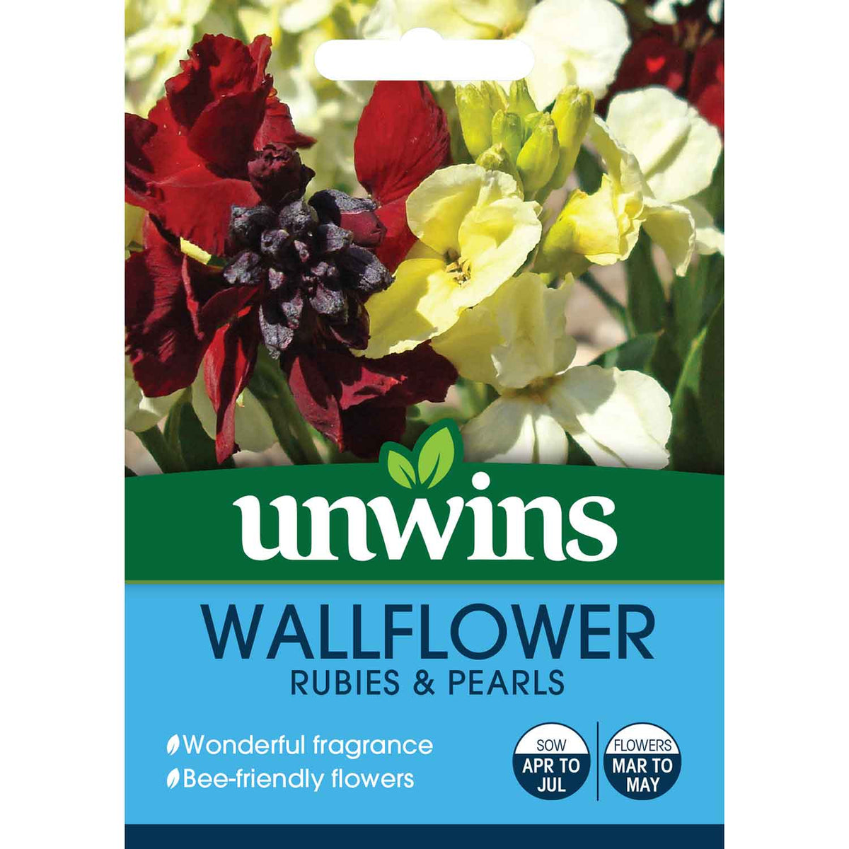 Wallflower Seeds 'Rubies and Pearls' Buy Wallflower Seeds Online