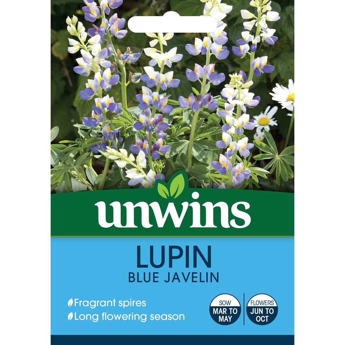 Lupin Seeds Blue Javelin