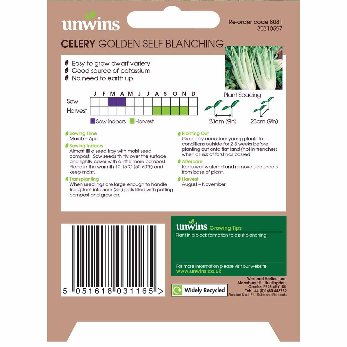 Celery Seeds 'Golden Self Blanching' Buy Celery Seeds Online Celery Seeds for Sale