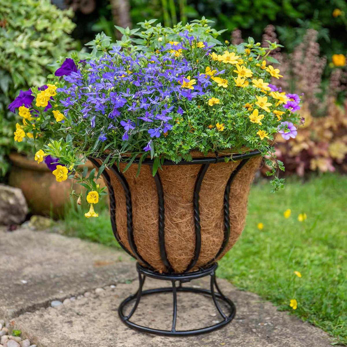 Blacksmith Iron Planter with Stand 35cm 2 Pack Buy Garden Planters