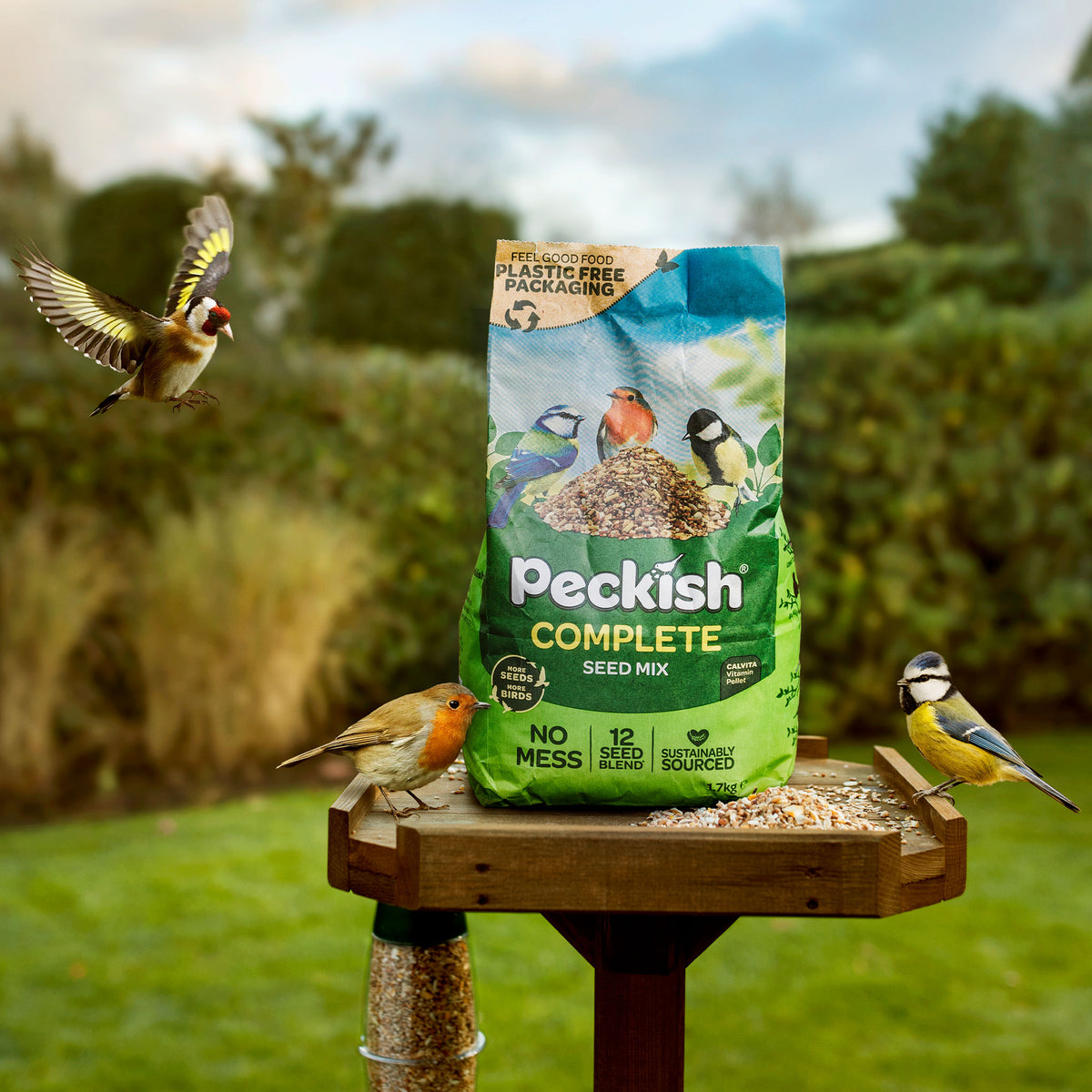 Peckish bird store food