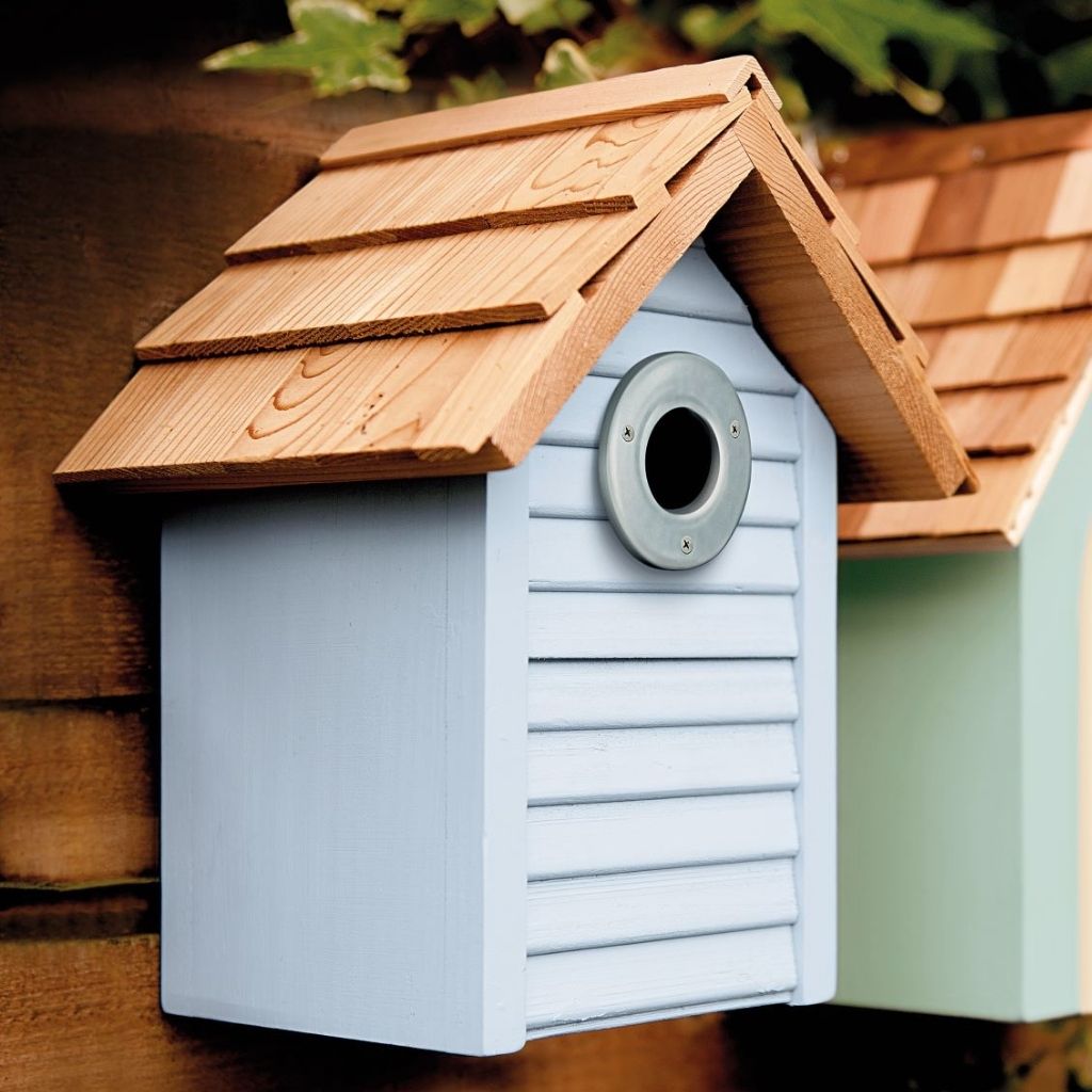 Gardman Beach Hut Nest Box Blue Buy Bird Nest Box Online Bird