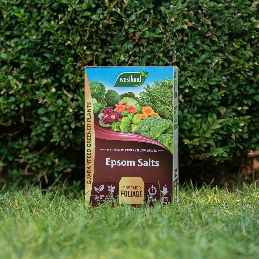 Westland Epsom Salts
