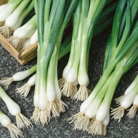 Spring Onion Seeds 'white Lisbon' 