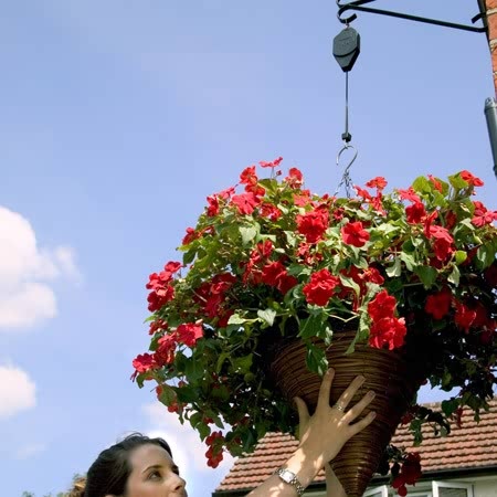 hi lo plant hanger Hi-Lo Hanging Basket Support
