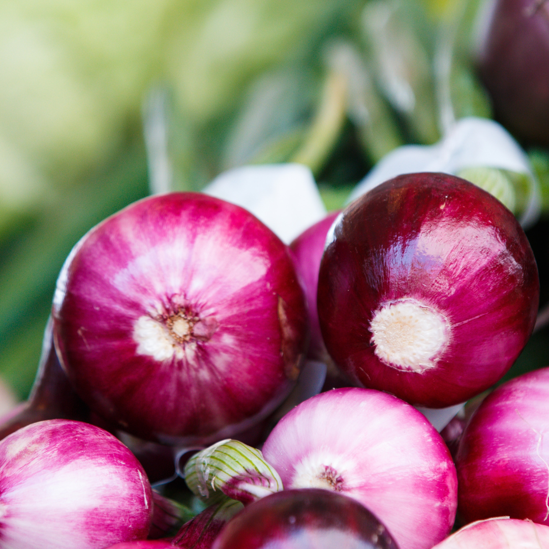 A Guide to Growing Onions from Seed in the UK