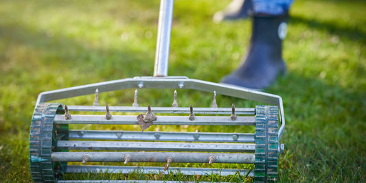 Lawn Aeration: Why it's crucial and how to do it effectively