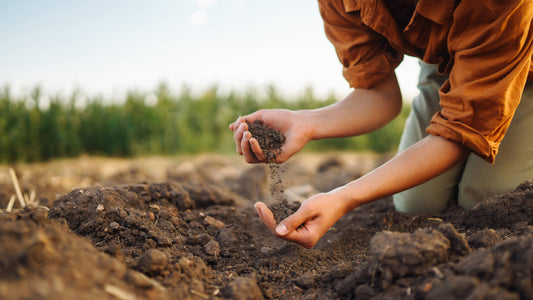 How to Identify Your Soil Type