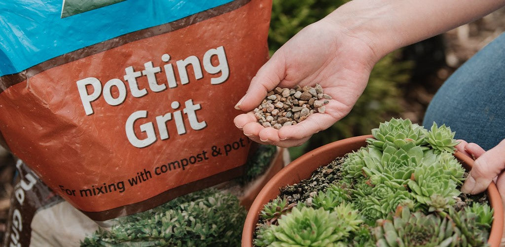 Bulk Buy Potting Grit