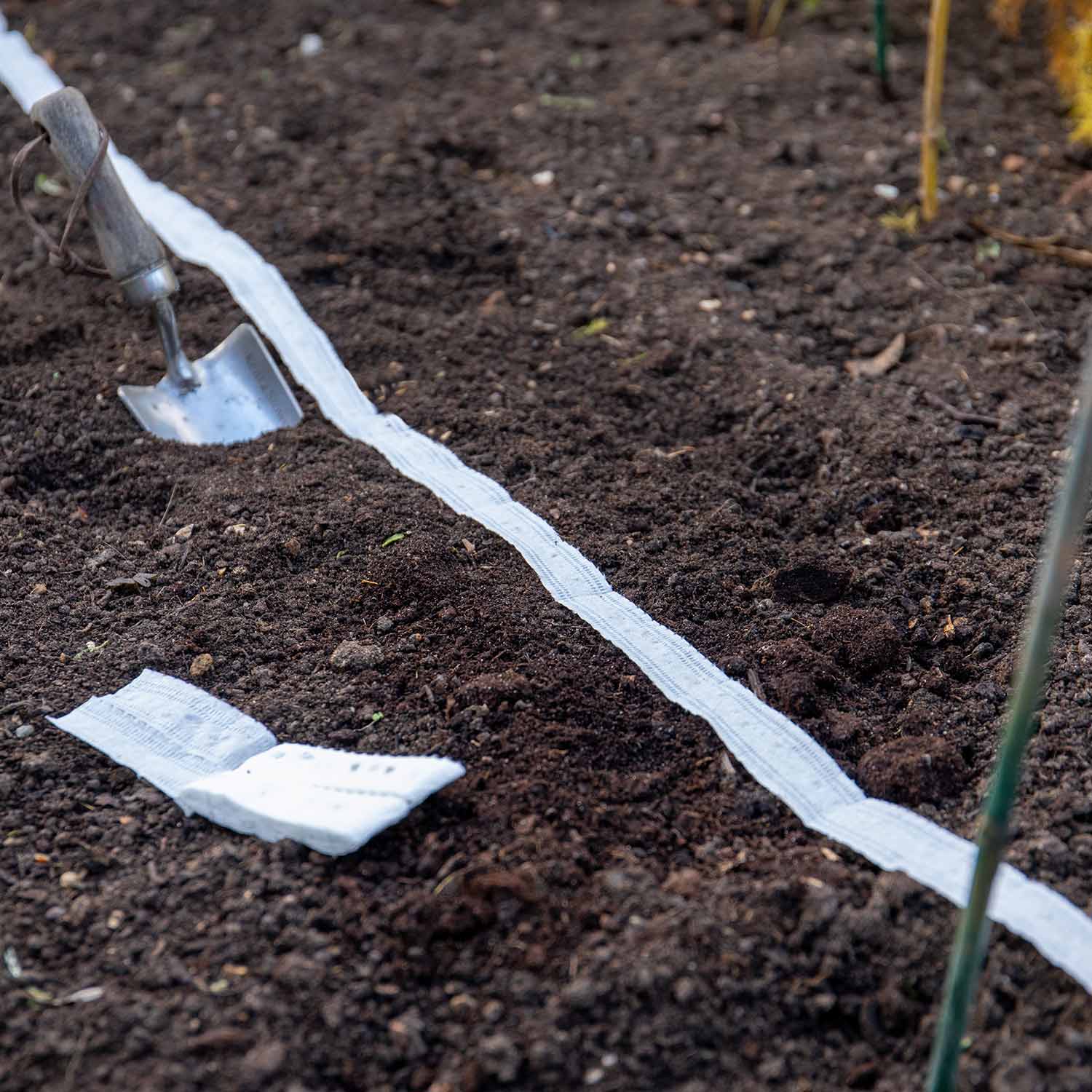Seed Tapes