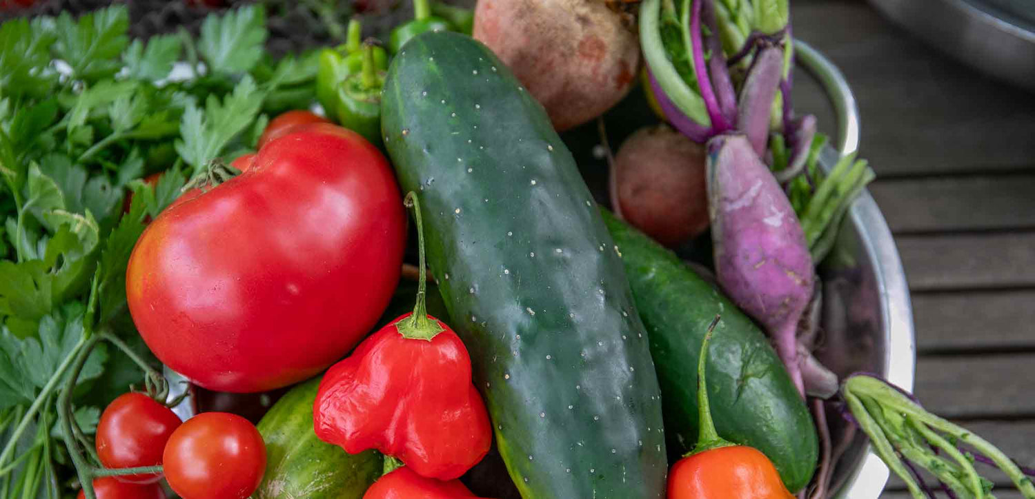 Vegetable Plants