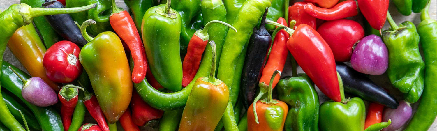 Seeds to Sow in March
