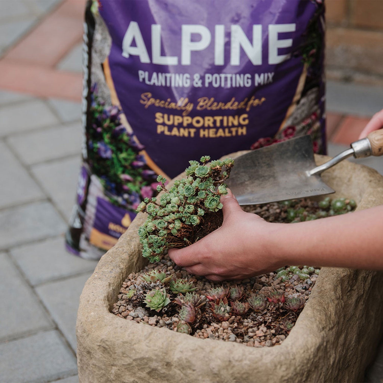 Alpine Compost